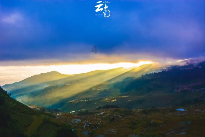 家有银柳，越过越有——五彩缤纷银芽柳